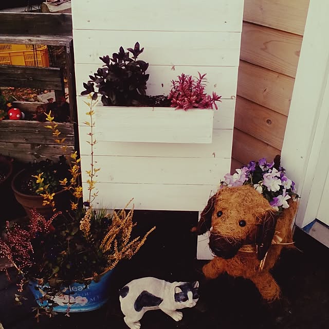 shusen.miyaさんの実例写真