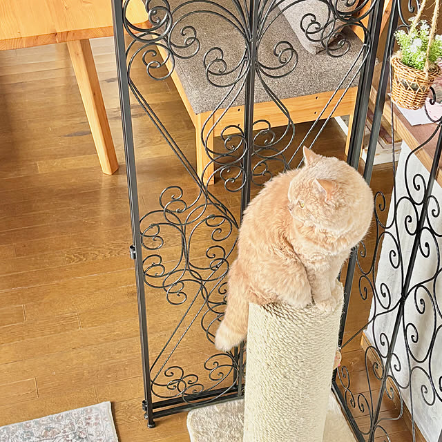 naokoさんの実例写真