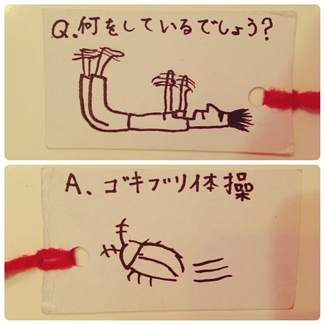 popさんの実例写真