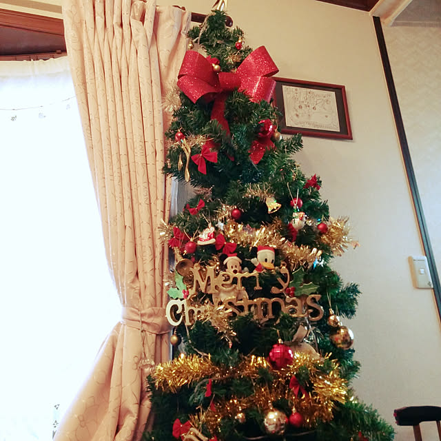 Tさんの実例写真