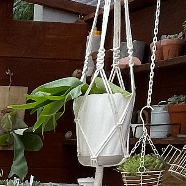 emiuraranさんの部屋