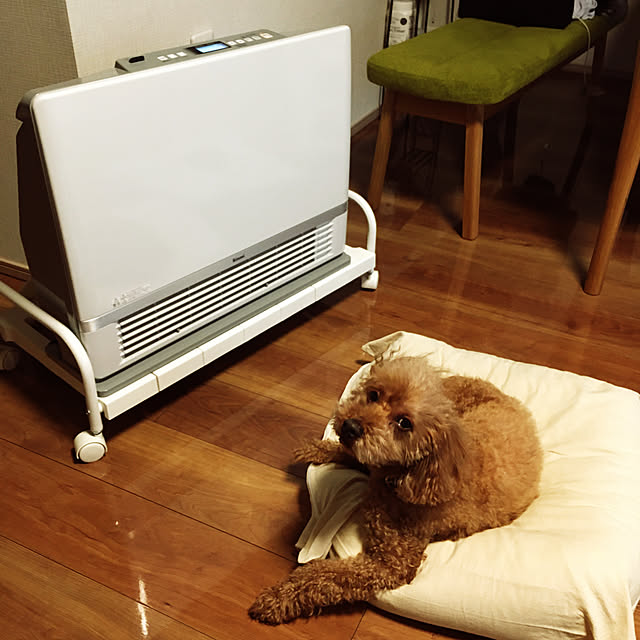 ponさんの実例写真