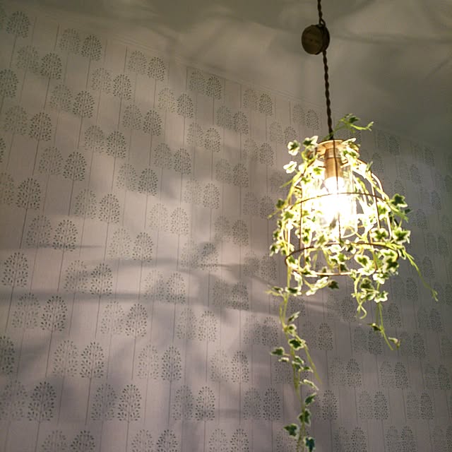 junさんの実例写真