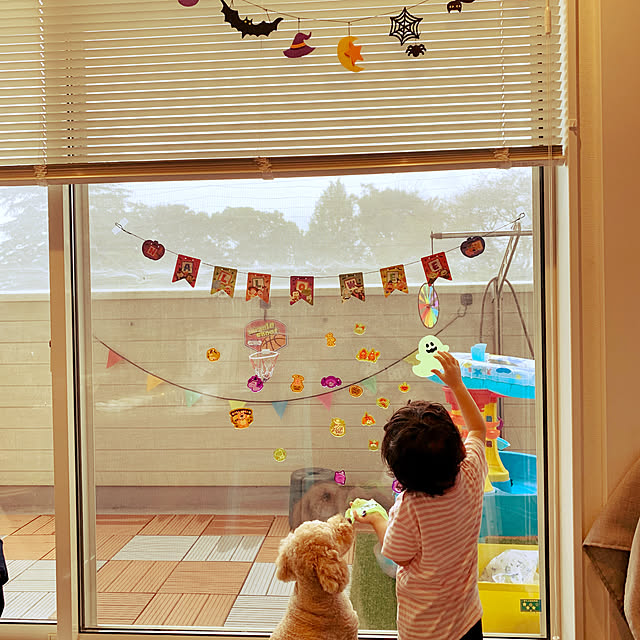 狭いけど楽しみたい！/子供のいる暮らし/狭小住宅/ペットと暮らす/ダイソー...などのインテリア実例 - 2021-09-09 16:27:31