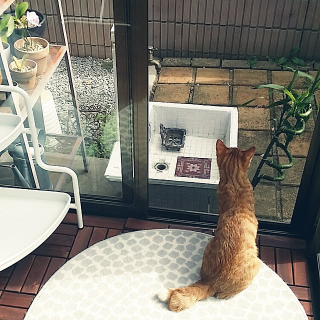 rapin8226さんの実例写真