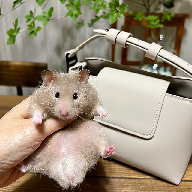 emiさんの部屋