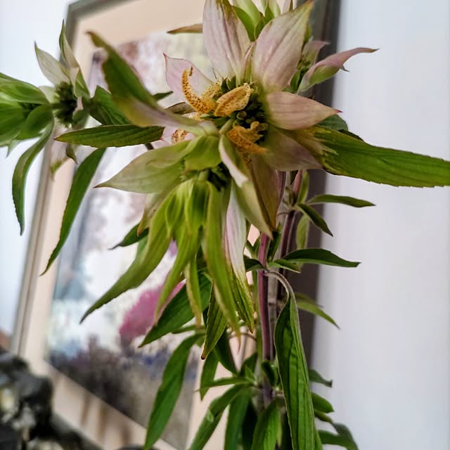 salacocoさんの実例写真