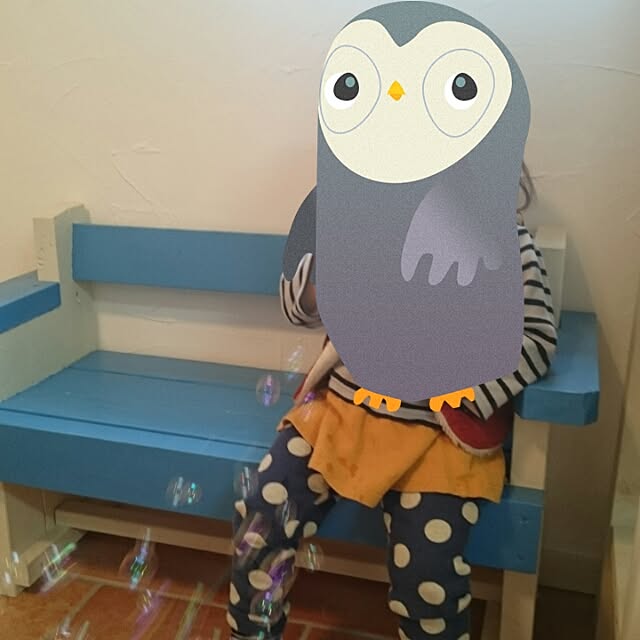 majolicaさんの実例写真