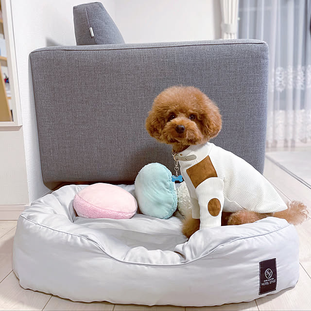 cocoaさんの実例写真