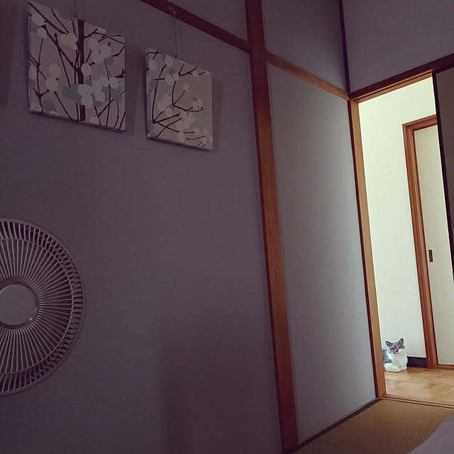 rhuさんの実例写真