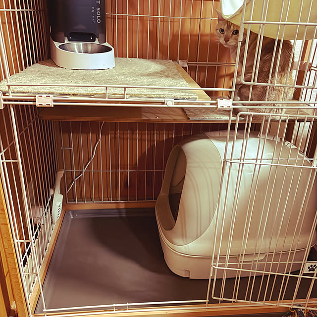 mikuwaさんの部屋