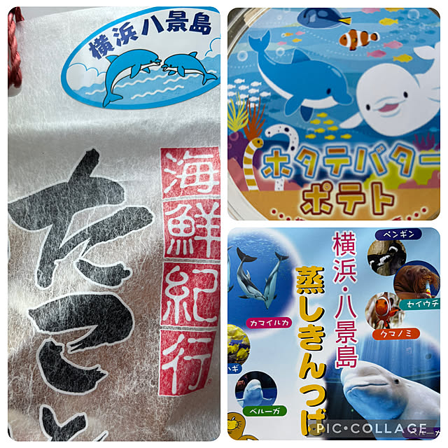 syutmmさんの部屋