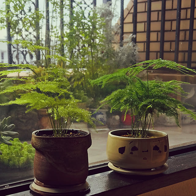 fuyiqian1026さんの実例写真