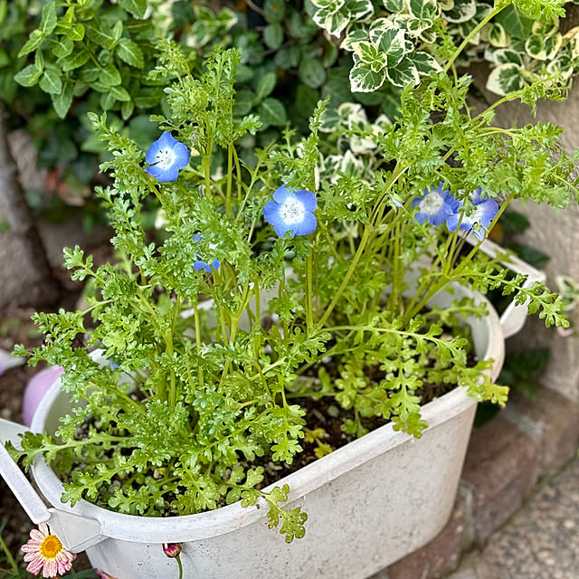 asako.10さんの部屋