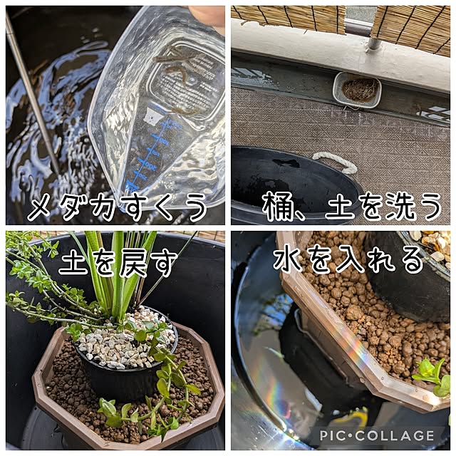 mi-saさんの部屋