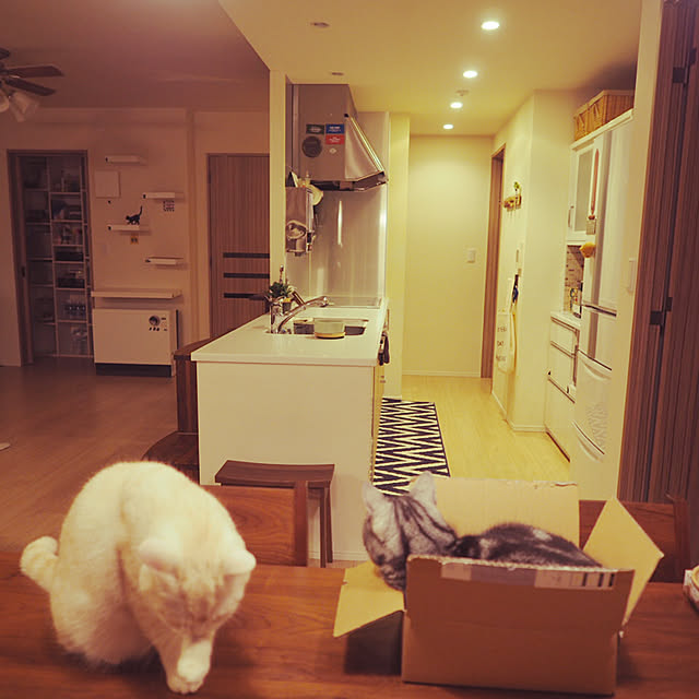 y.k.0123さんの実例写真