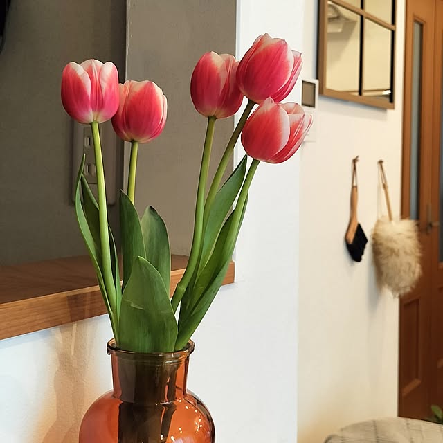 oomiさんの実例写真