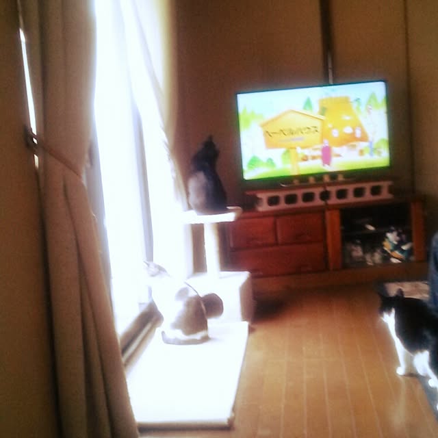 tomopさんの実例写真