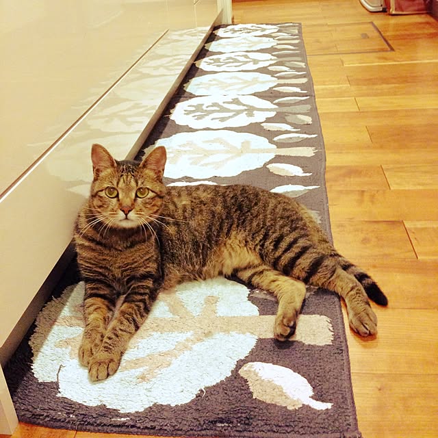 Y.Gさんの実例写真