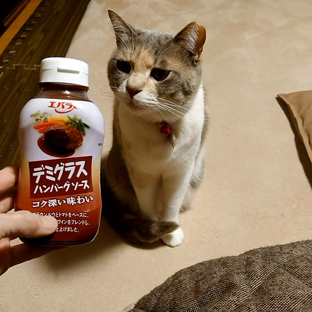 fukuさんの実例写真