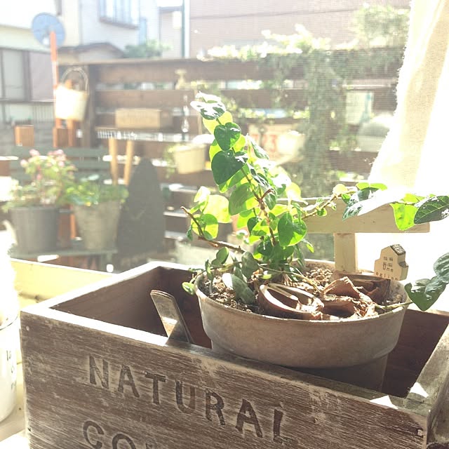 Nanaさんの実例写真