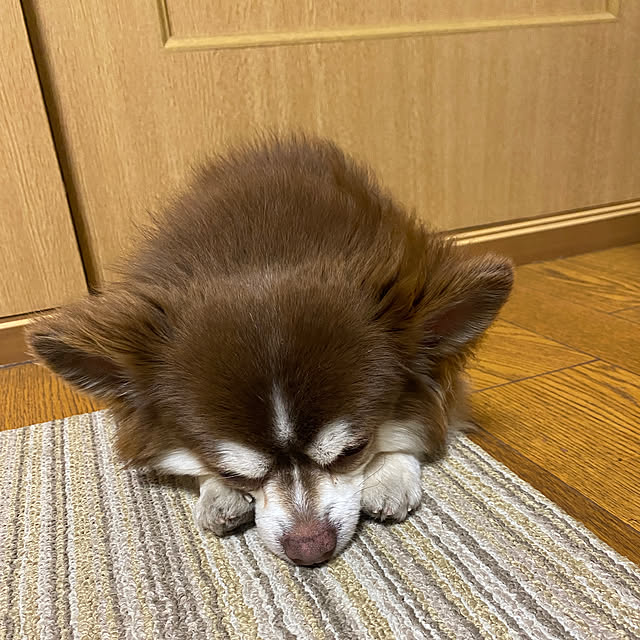 chIoeさんの実例写真