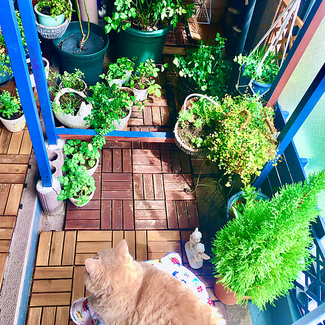 naokoさんの部屋