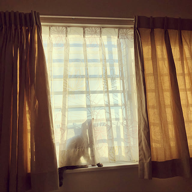 Pisaさんの実例写真