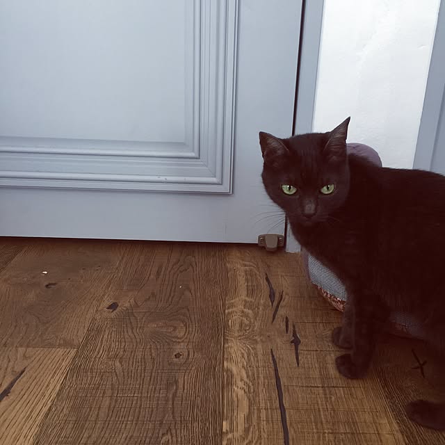 kimikaさんの実例写真