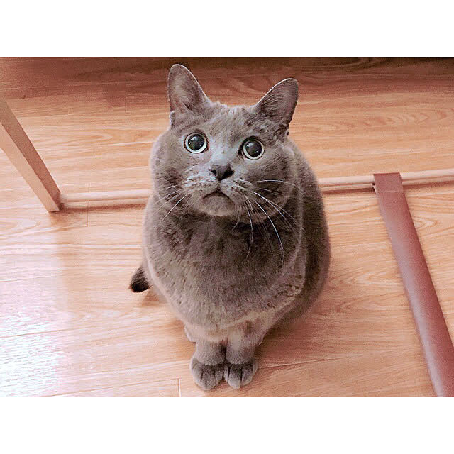 hiさんの実例写真