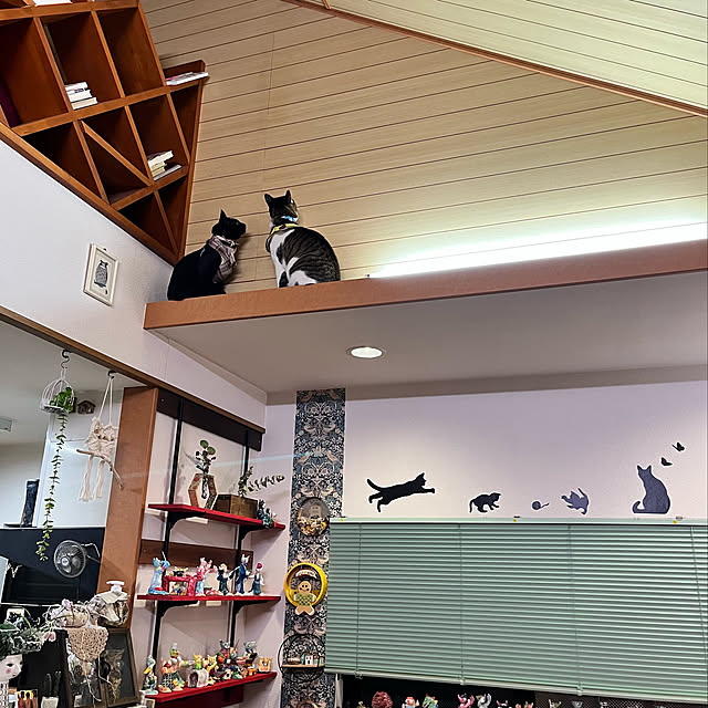 jijiさんの実例写真