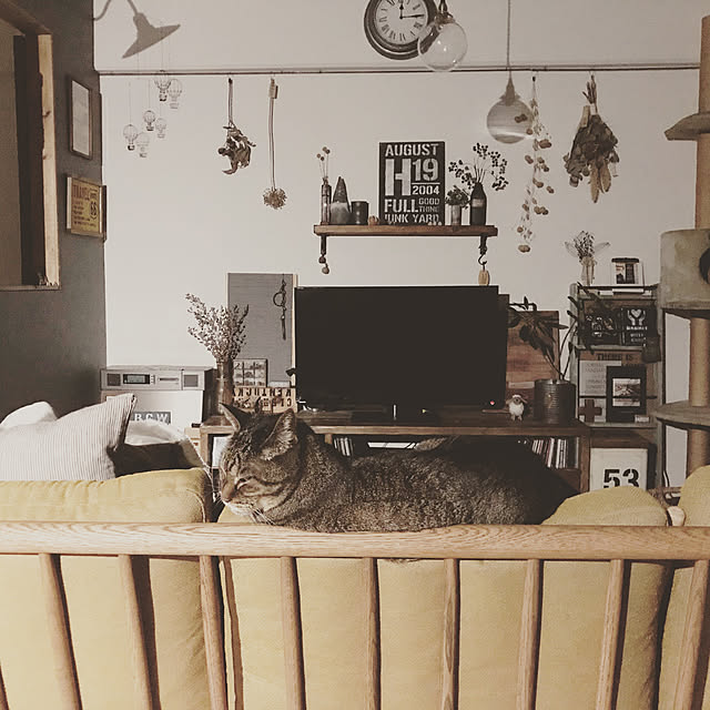 beansさんの実例写真