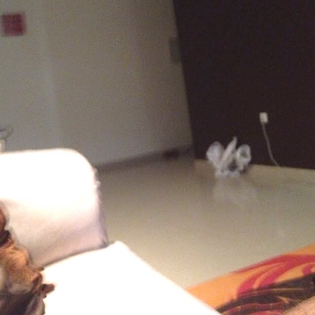 Ahmedさんの実例写真