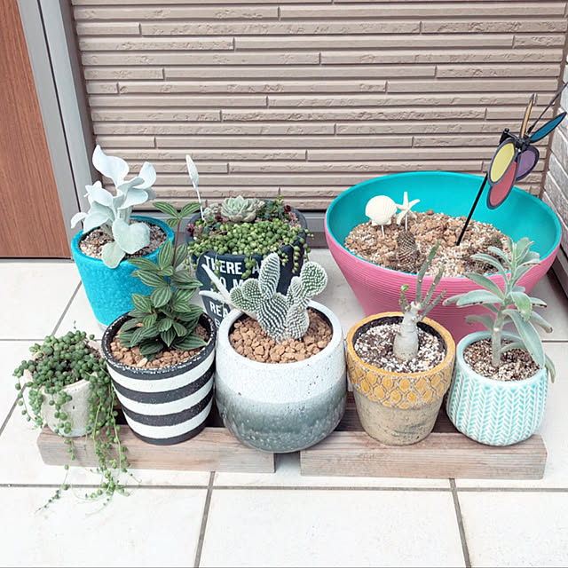 mippyさんの実例写真