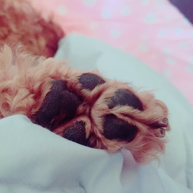 rutanmamaさんの実例写真