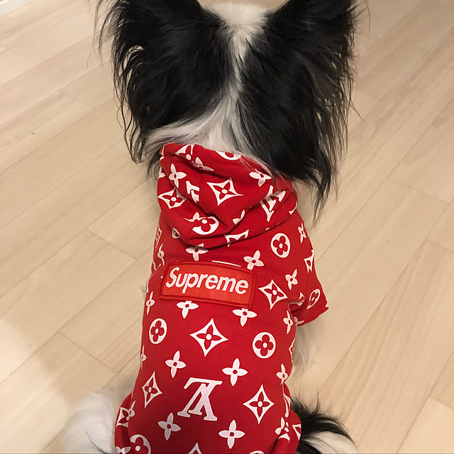 syさんの実例写真