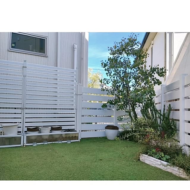 kodaminさんの部屋