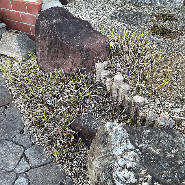 shin0719さんの実例写真