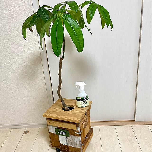 t-famさんの部屋