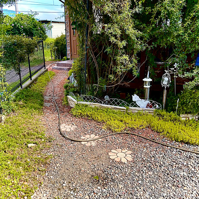 juncocoさんの部屋