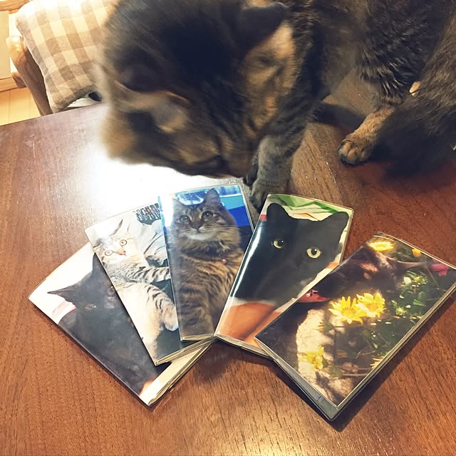 yuki0511さんの実例写真