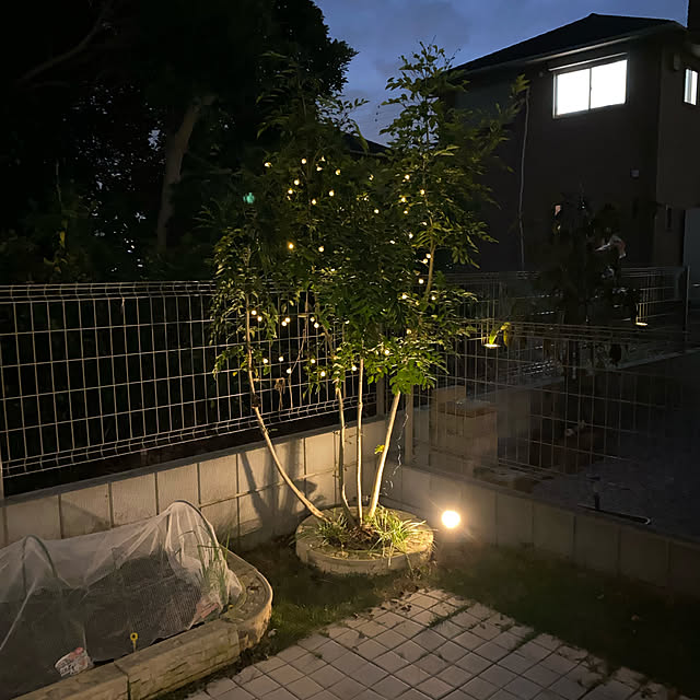 mocoさんの実例写真