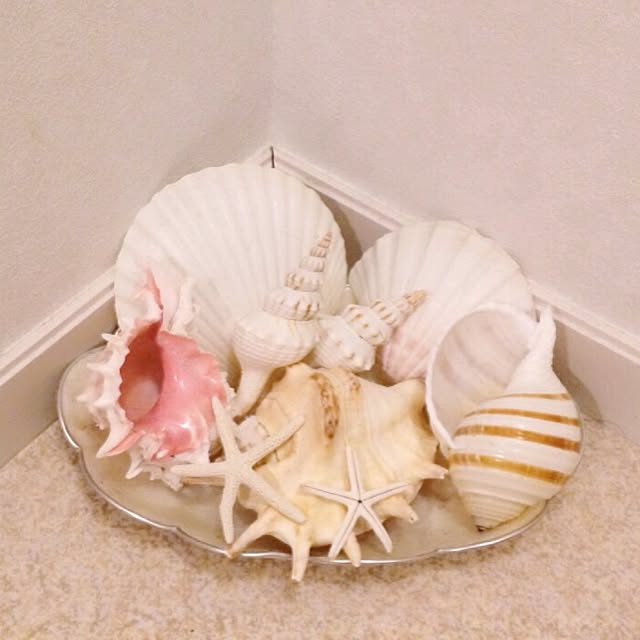 sho.さんの実例写真