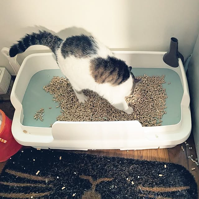 hiroさんの実例写真