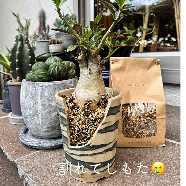 onsix777さんの部屋