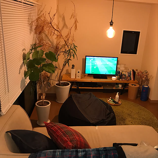 DailyRoomclip