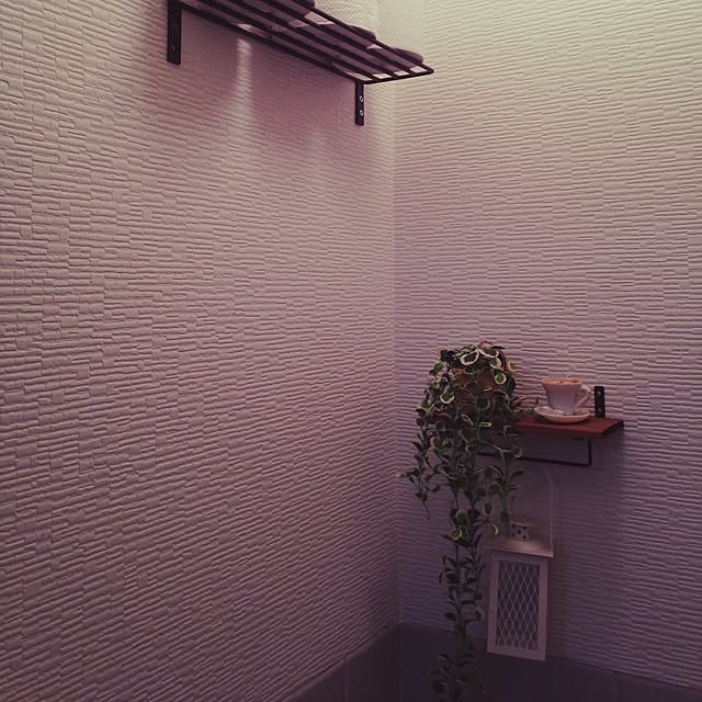 バス/トイレ/キャンドル/セリア/3COINS/フェイクグリーンのインテリア実例 - 2015-06-13 21:13:02
