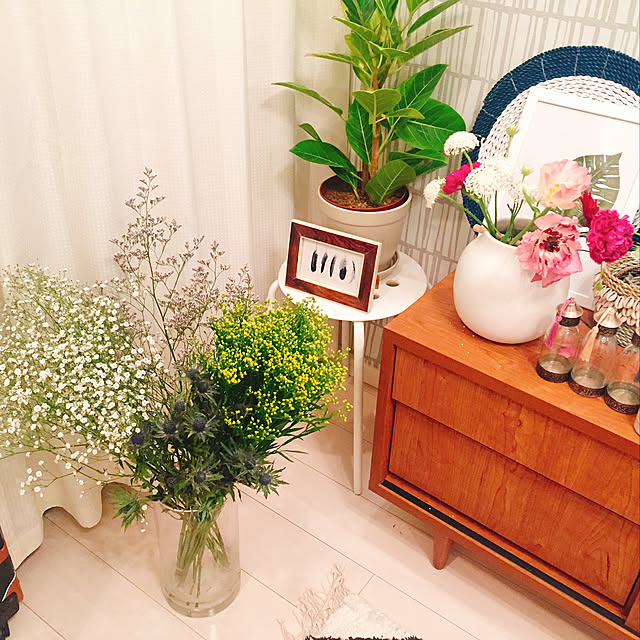 棚/観葉植物のインテリア実例 - 2018-04-04 12:47:24