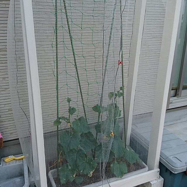 matsuyukaさんの実例写真