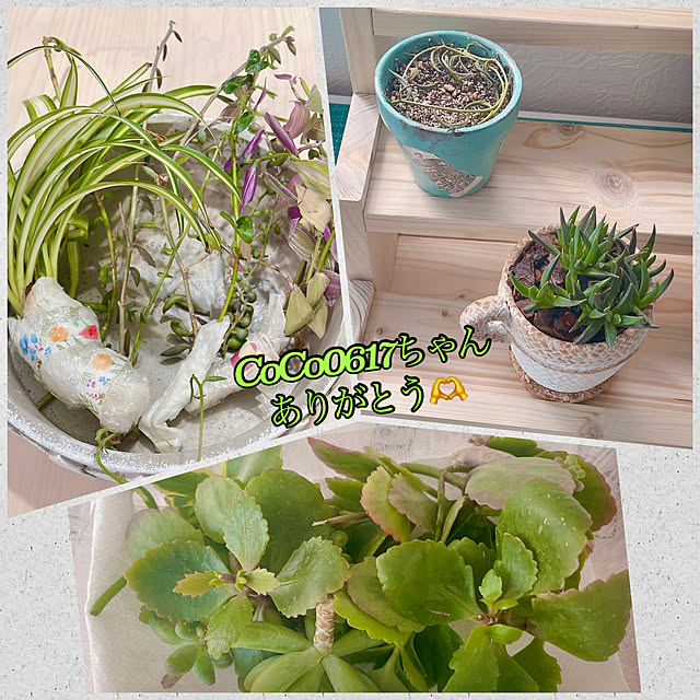 miyuさんの部屋